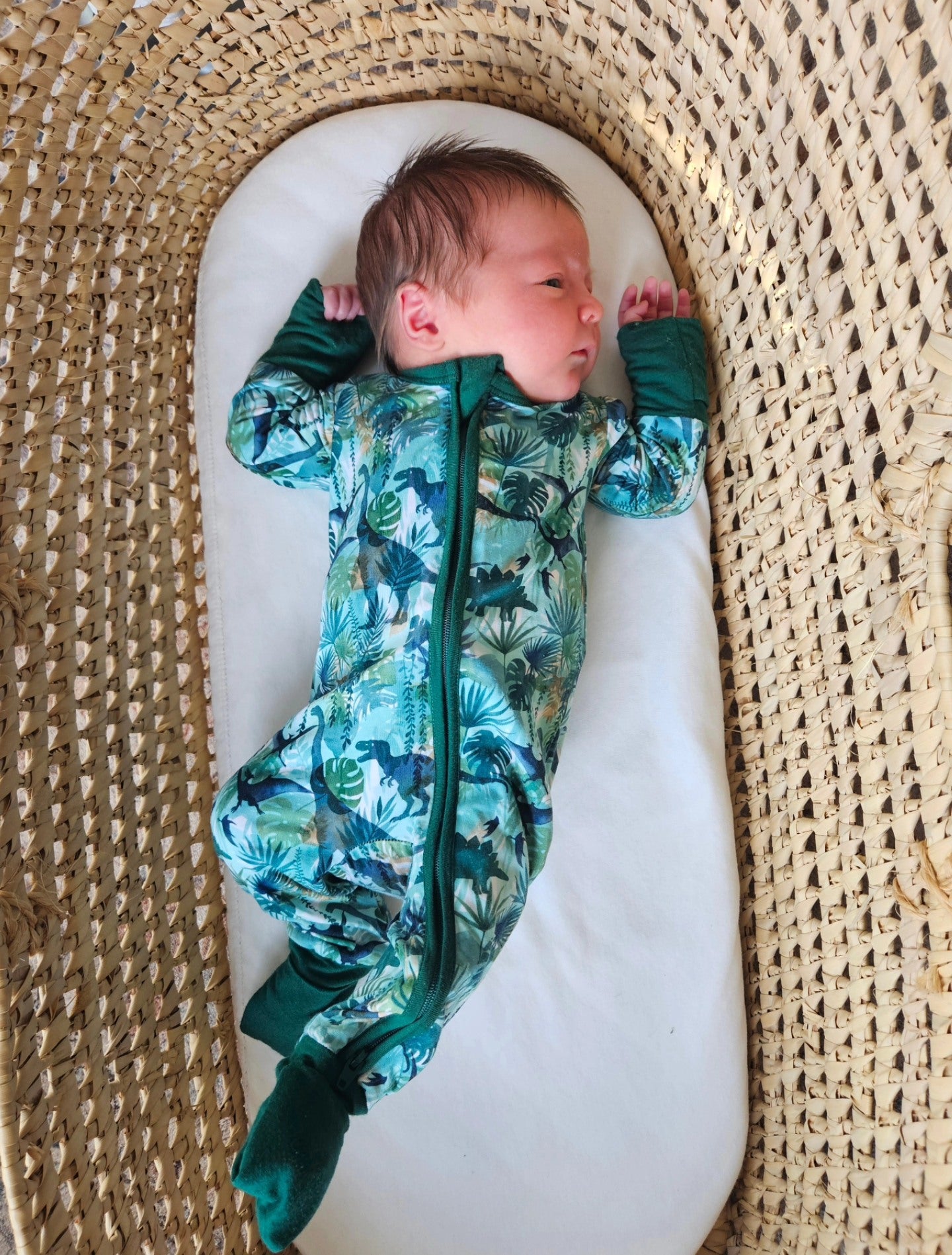 Teal Dinos | Grow-with-Me Zippy – Lena James & Company