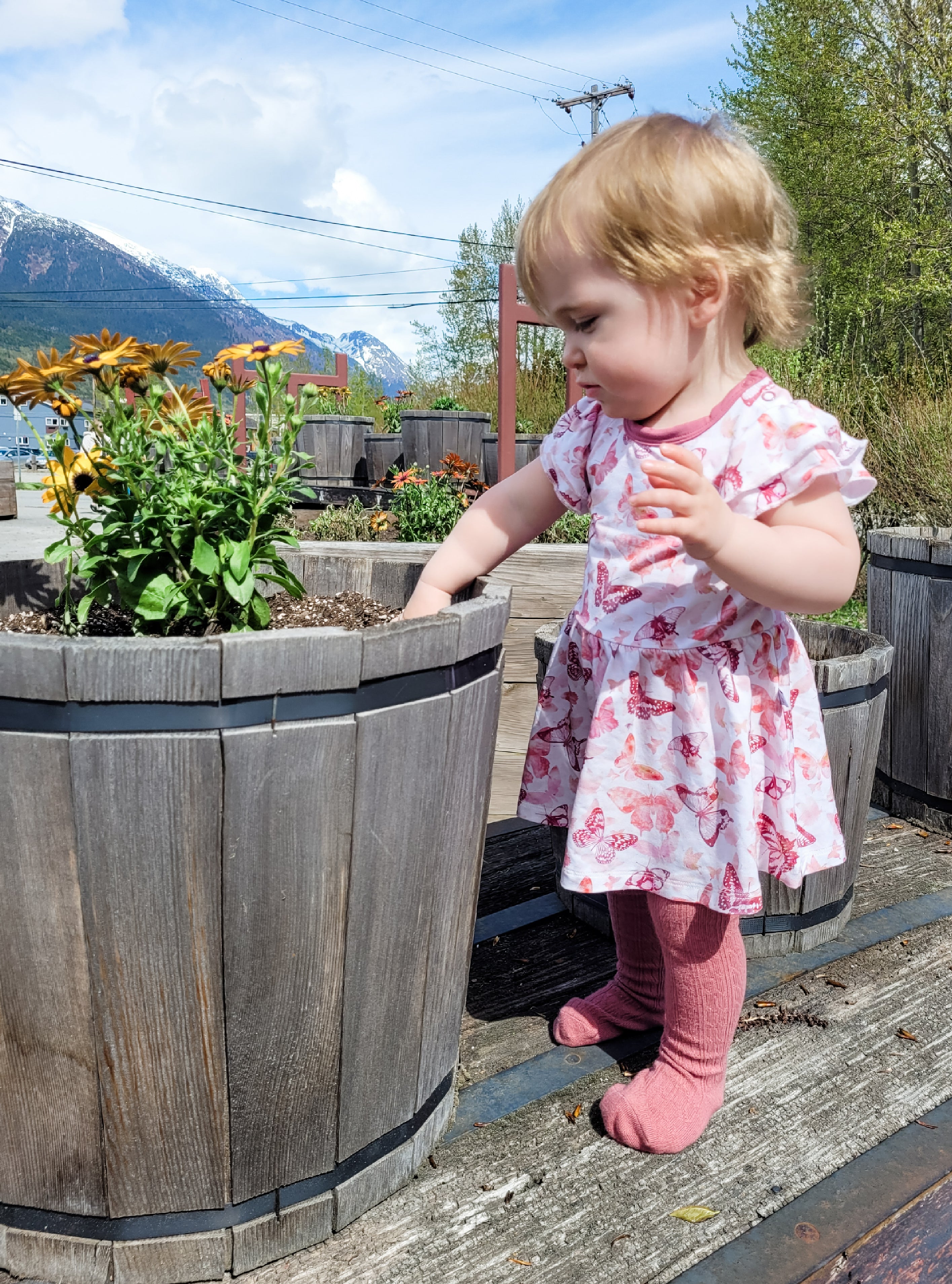 Mauve Mariposa | Lena Bodysuit Dress