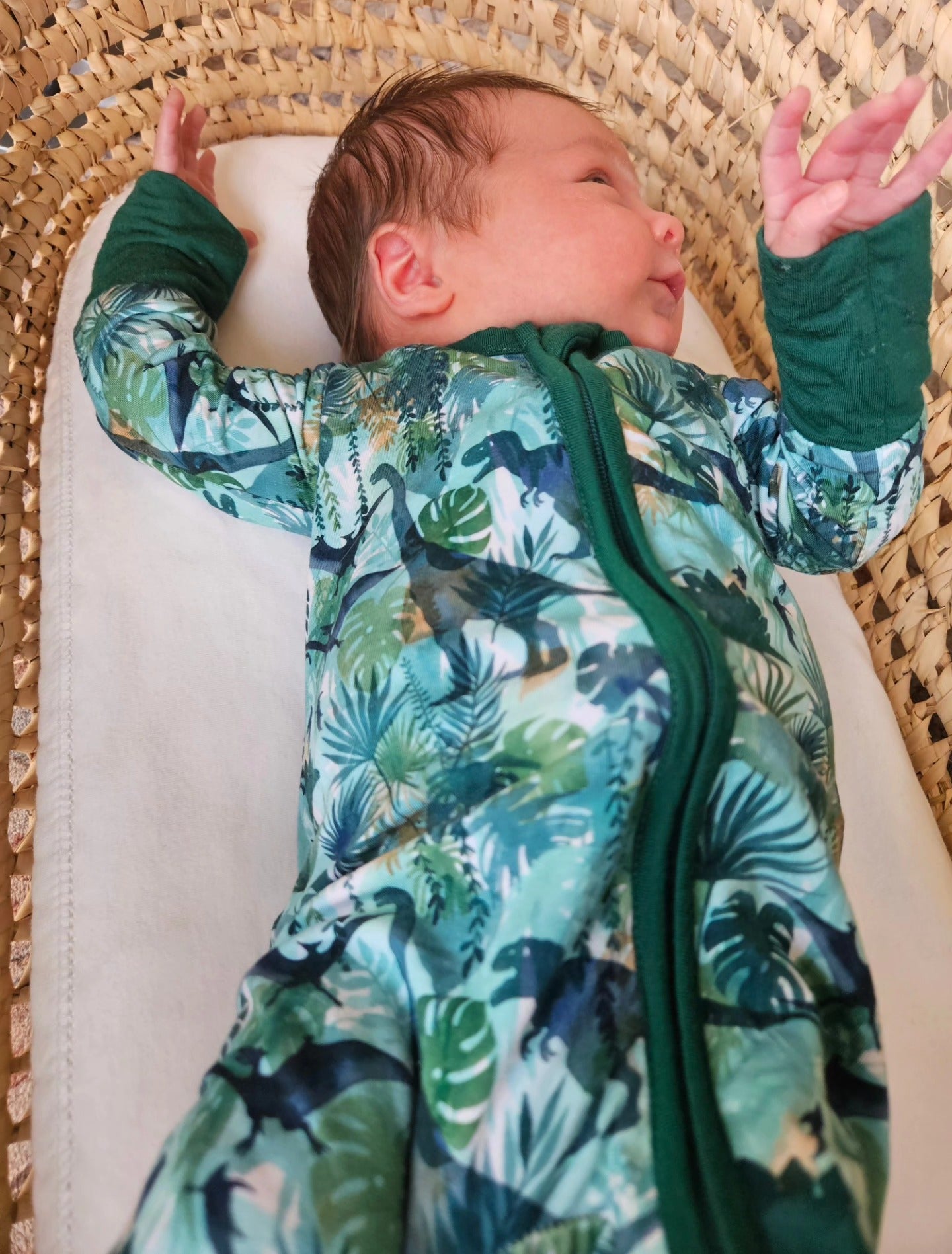 Teal Dinos | Grow-with-Me Zippy