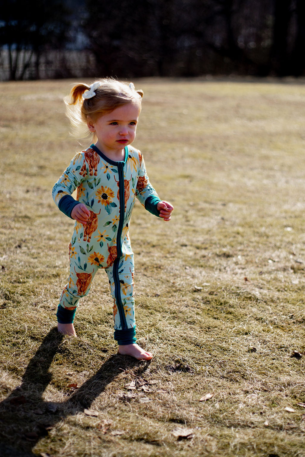 Highland Cow Sunflowers | Grow-with-Me Zippy