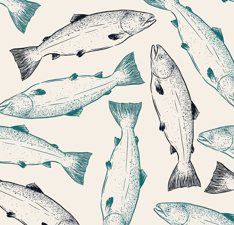 Wild Alaskan Salmon | Single-Layer Blanket