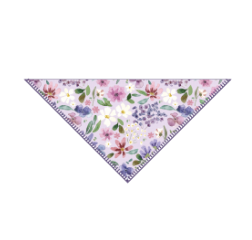 Lena James & Company