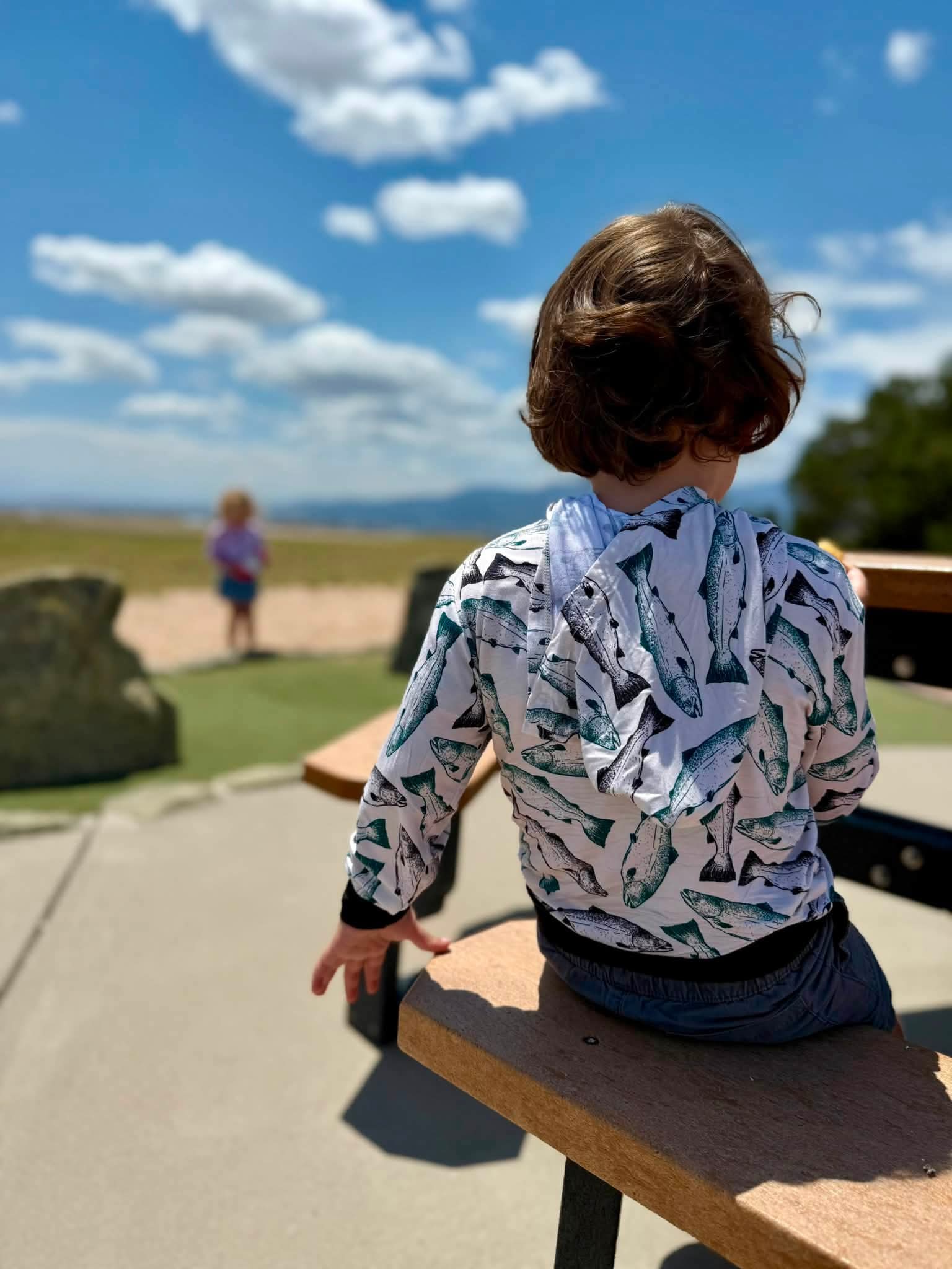 Wild Alaskan Salmon | NEW STYLE | Lightweight Toddler Hoodie