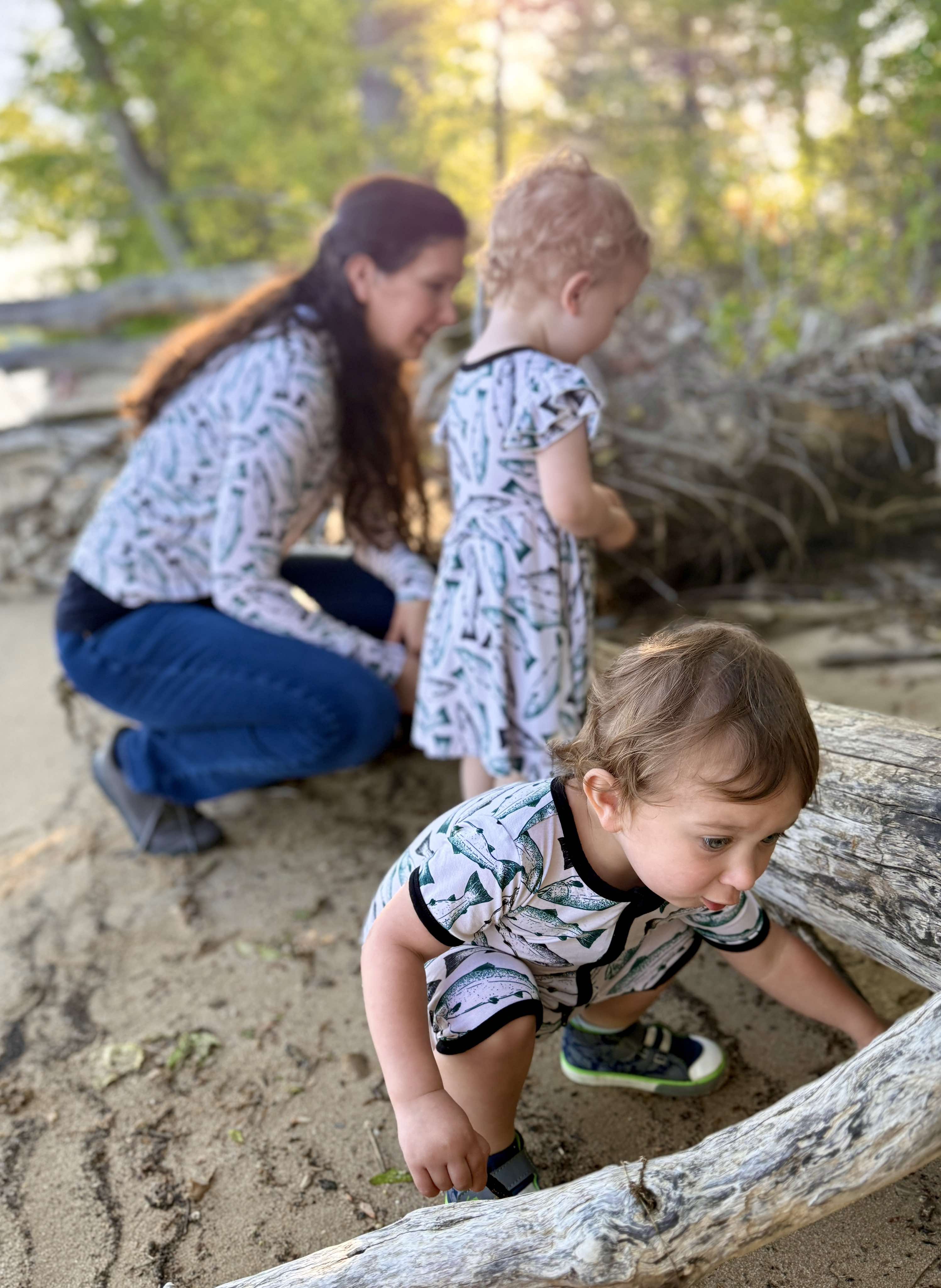 Wild Alaskan Salmon | Adult Lightweight Hoodie