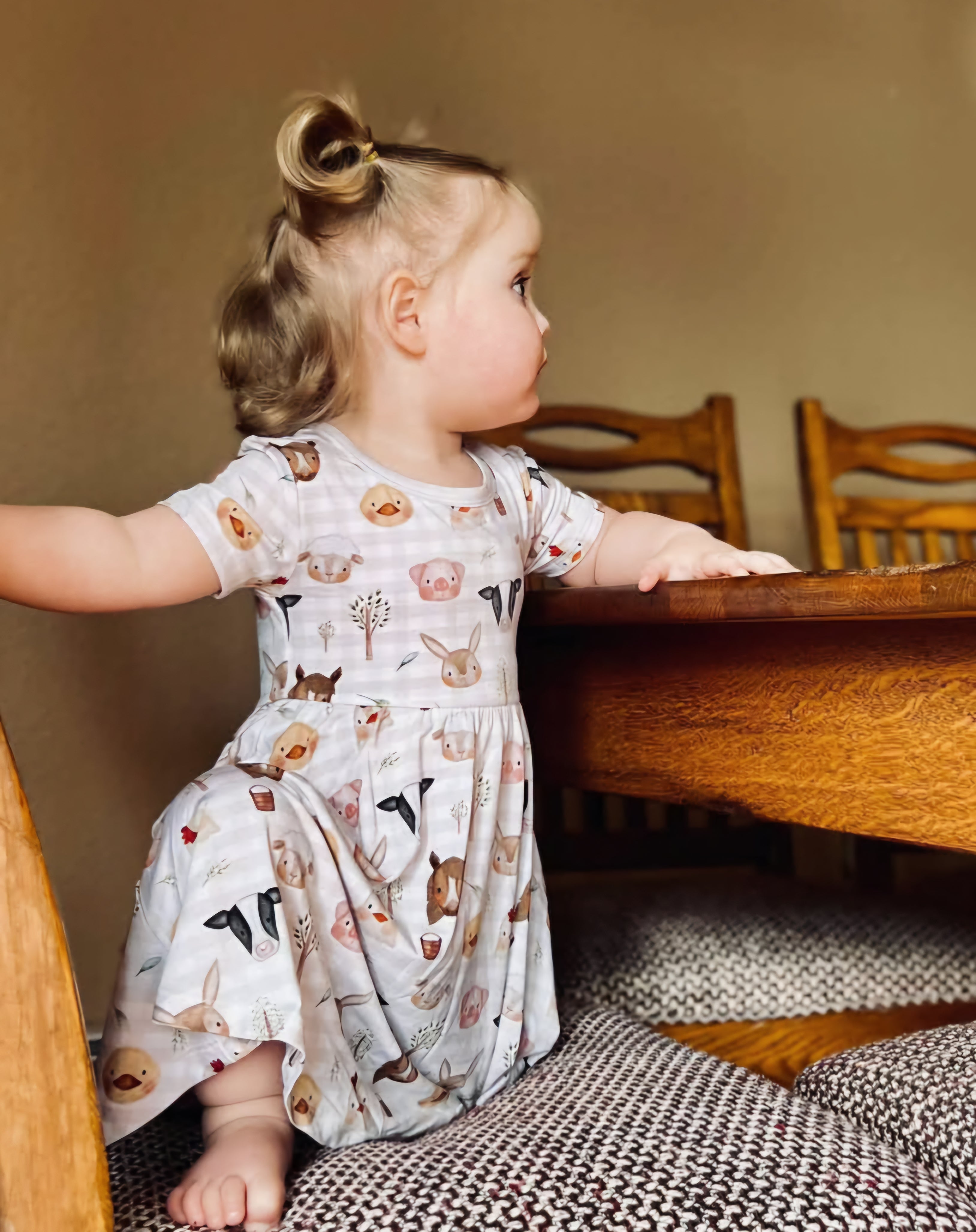 Farm Friends | T-Shirt Twirl Dress
