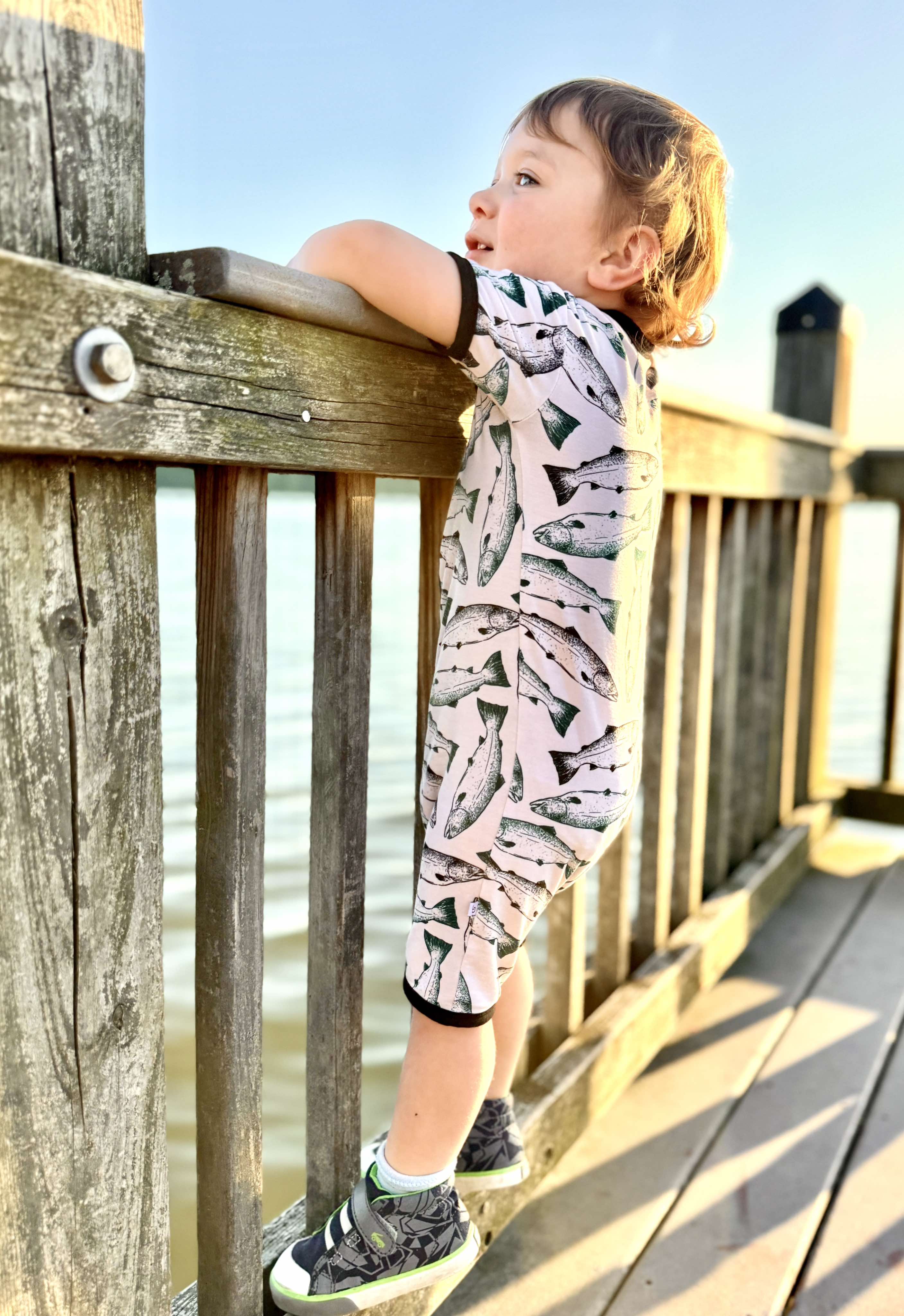 Wild Alaskan Salmon | Shortie